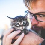 Beyond The Brush: Pet Hygiene For Vibrant Skin And Gums